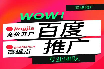 百度竞价排名实战：某行业领先企业的成功之路
